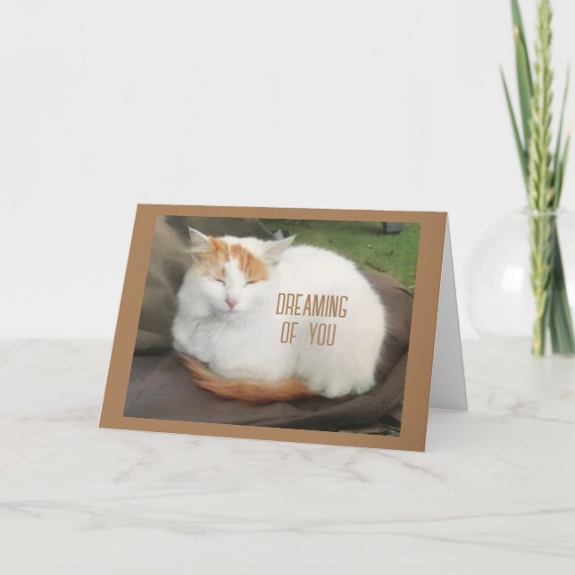 COMEDIC TURKISH VAN SAYS "GRATTIS PÅ FÖDELSEDAGEN" KORT (Framsida)