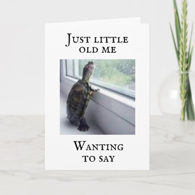 "COMEDIC TURTLE SÄGER "DU ÄR GAMMAL" KORT (Framsida)
