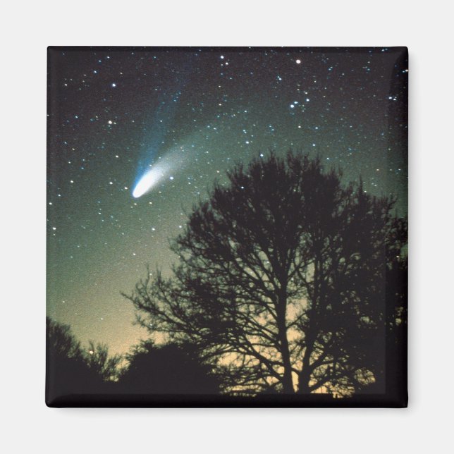 Comet Hale-Bopp och Träd Magnet (Framsidan)