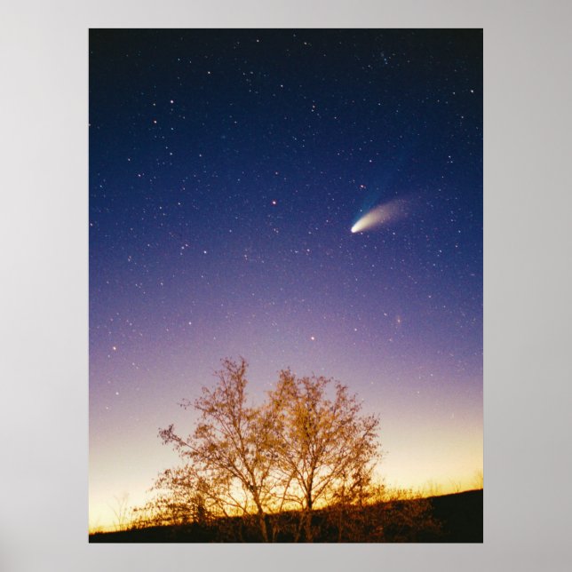 Comet Hale Bopp Poster (Framsidan)