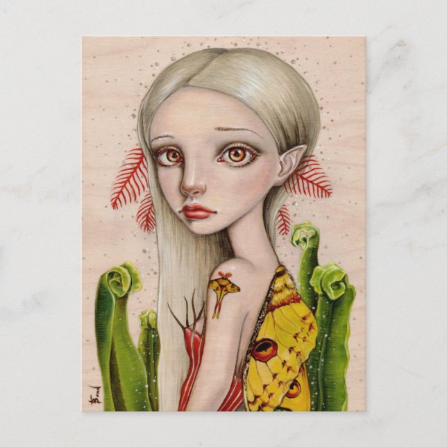 Comet Moth Vykort (Framsida)