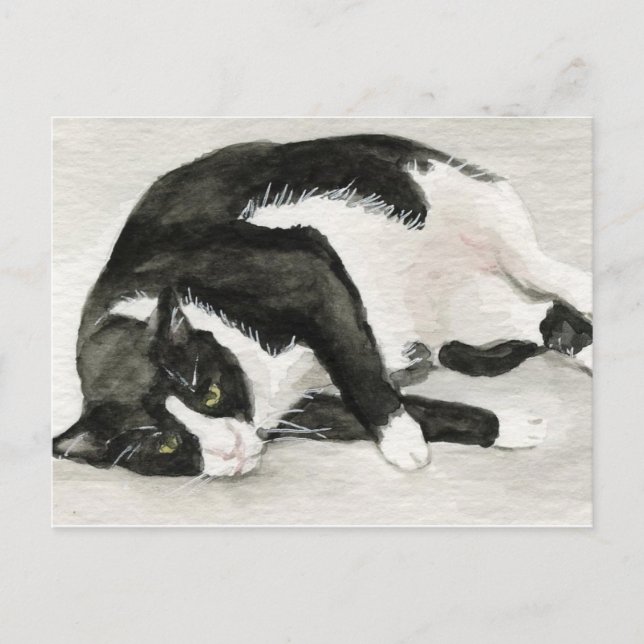 "Comfortable Tuxedo Cat"-vykort Vykort (Framsida)