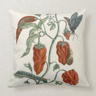 Comfrey från "ett nyfiket växt-", 1782 kudde