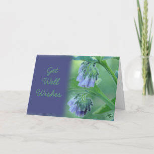 Comfrey Get well Önskemål eller någon tillfälle-an Kort