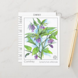 Comfrey Materia Medica Herbal Study Plant Card Vykort