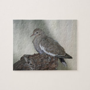 Comfy Dove Puzzle Pussel