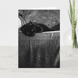 Comfy hälsningkort för svart katt kort