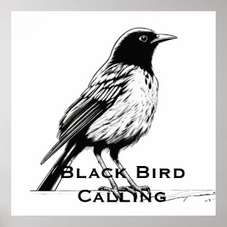 Comic-Style Black Bird Calling Poster