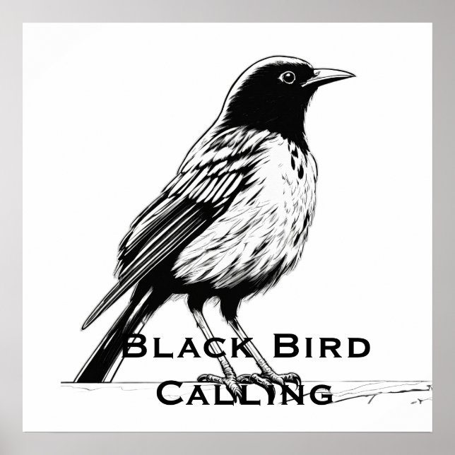 Comic-Style Black Bird Calling Poster (Framsidan)