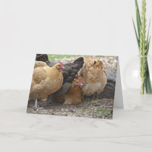 Comical Chicken Notecard Kort (Framsida)