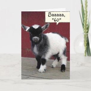 *COMICAL GOAT* DU SER FORTFARANDE "59" PÅ DIN *60: KORT
