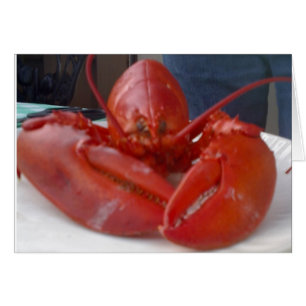 COMICAL LOBSTER JOKES MEN SÄGER "GRATTIS PÅ FÖD HÄLSNINGSKORT