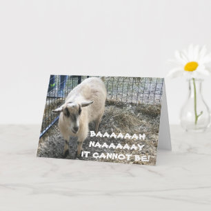 COMICAL SHEEP VET INTE ATT DU VAR "DEN GAMLA" KORT