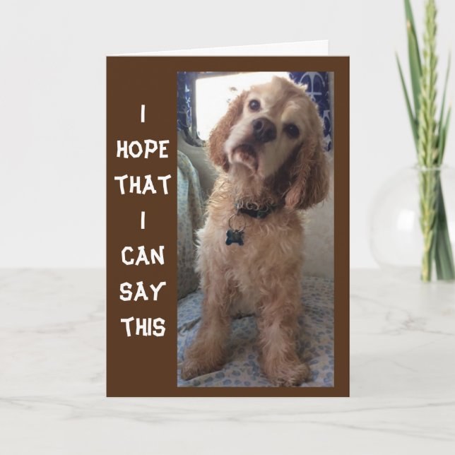 **COMIDIC SPANIEL" LYCKLIG "70th" BIRTHDAY Card Kort (Framsida)