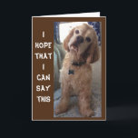 **COMIDIC SPANIEL" LYCKLIG "70th" BIRTHDAY Card Kort<br><div class="desc">HAN HADE EN BATH,  KAN DU SÄGA. HAN ÄR EN KOMDIAN FÖR SÄKERHET!!!!!! DU KAN ÄNDRA ÅLDERN (OCH VERSE) I SEKUNDER OM DU VILL OCH TACK FÖR ATT STOPPA MED ETT AV MINA ÅTTA LAGRINGAR. KOM IGEN!</div>