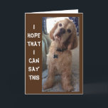 **COMIDIC SPANIEL" LYCKLIG "70th" BIRTHDAY Card Kort<br><div class="desc">HAN HADE EN BATH,  KAN DU SÄGA. HAN ÄR EN KOMDIAN FÖR SÄKERHET!!!!!! DU KAN ÄNDRA ÅLDERN (OCH VERSE) I SEKUNDER OM DU VILL OCH TACK FÖR ATT STOPPA MED ETT AV MINA ÅTTA LAGRINGAR. KOM IGEN!</div>