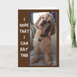 **COMIDIC SPANIEL" LYCKLIG "70th" BIRTHDAY Card Kort