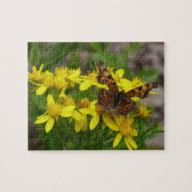 Comma Butterfly i Glacier nationalpark Pussel (Horisontell)