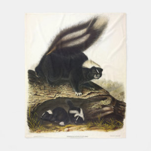 Common American Skunk eller Stripe Skunk, av Audub Fleecefilt