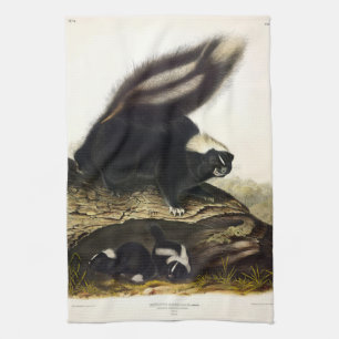 Common American Skunk eller Stripe Skunk, av Audub Kökshandduk