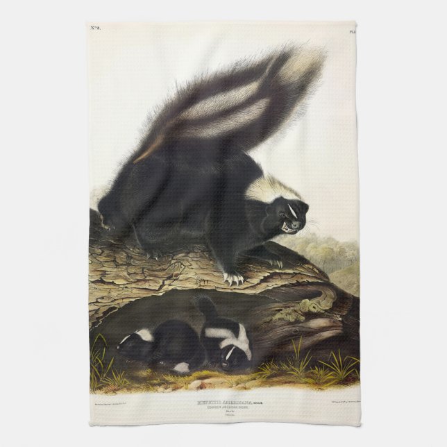 Common American Skunk eller Stripe Skunk, av Audub Kökshandduk (Vertikal)