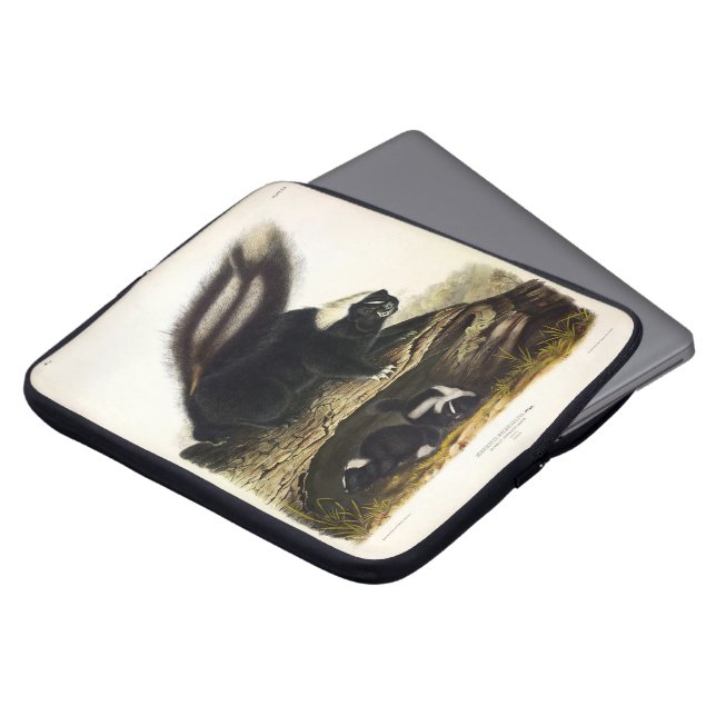 Common American Skunk eller Stripe Skunk, av Audub Laptop Fodral (Framsida topp)