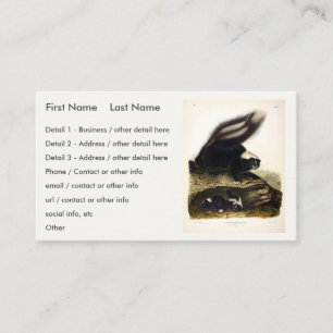 Common American Skunk eller Stripe Skunk, av Audub Visitkort