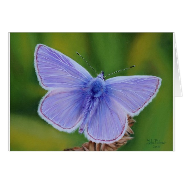 Common Blue Butterfly Hälsningskort (Framsidan Horizontal)