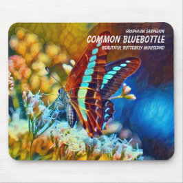 Common Bluebottle Musmatta