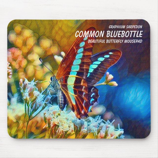 Common Bluebottle Musmatta (Framsidan)