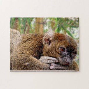 Common Brown Lemur, Jigszawa Puzzle Pussel