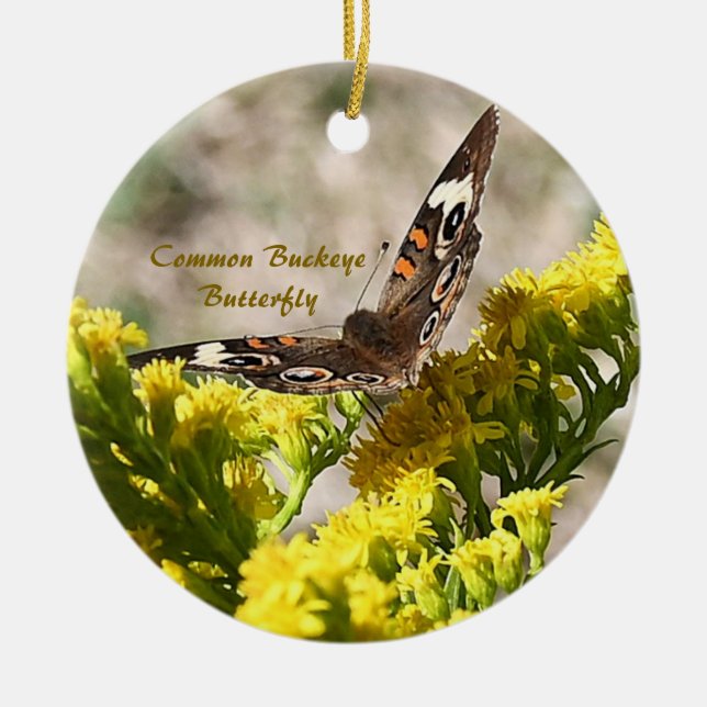 Common Buckey Butterfly Photo Ornament (Framsidan)