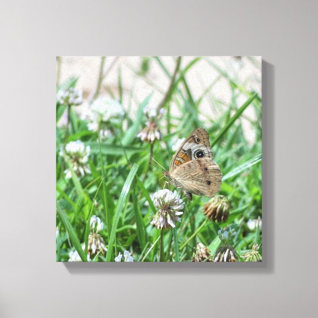 Common Buckeye Butterfly Canvastryck (Framsida)