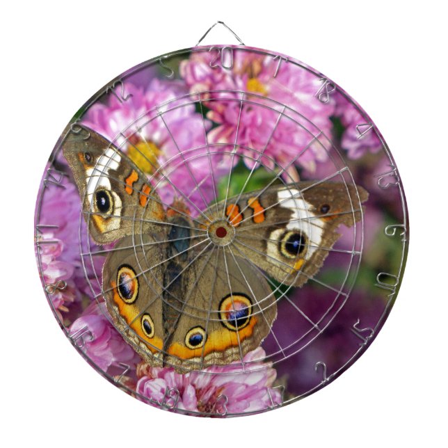 Common Buckeye Butterfly Darttavla (Framsidan)