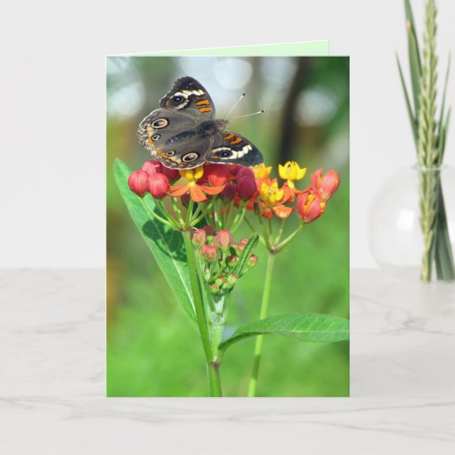 Common Buckeye Butterfly Garden Mors dag Card Kort (Framsida)