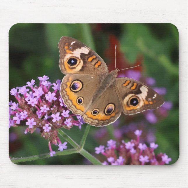 Common Buckeye Butterfly on Verbena Mousepad Musmatta (Framsidan)