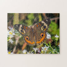Common Buckeye Butterfly Puzzle