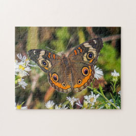Common Buckeye Butterfly Puzzle Pussel