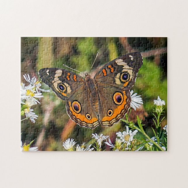 Common Buckeye Butterfly Puzzle Pussel (Horisontell)