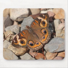 Common Buckeye Butterfly vid floden Sten Mousepad Musmatta