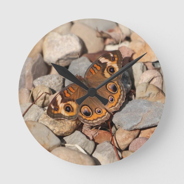 Common Buckeye Butterfly vid floden Sten Wall Cloc Rund Klocka (Framsida)