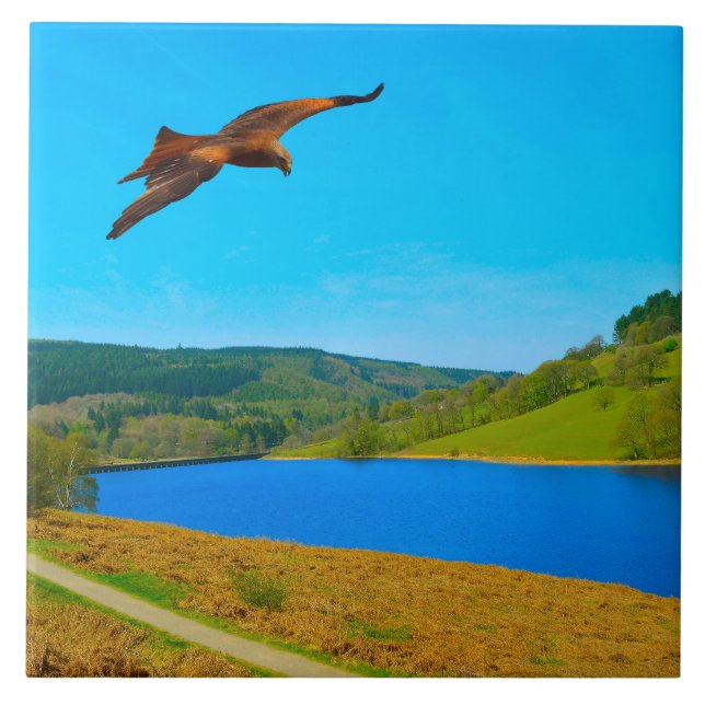 Common Buzzard under flygning över Ladybower-reser Kakelplatta (Framsidan)