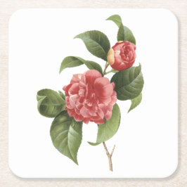 Common Camellia (Camellia japonica) av Redouté Underlägg Papper Kvadrat