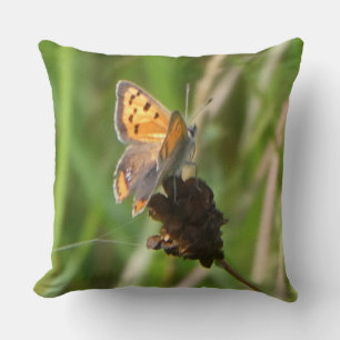 Common Copper Butterfly on Flower Bud Dekorativ ku Kudde