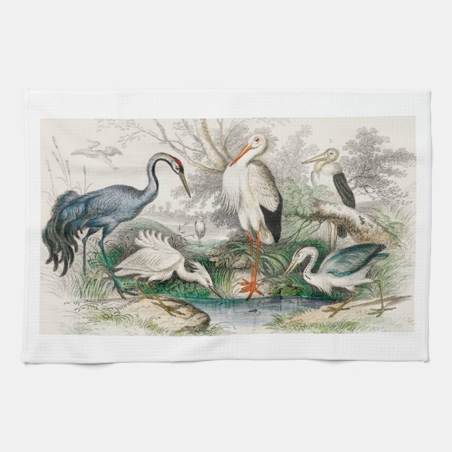 Common Crane, White Stork, Gigantic Crane, Common  Kökshandduk (Horisontell)