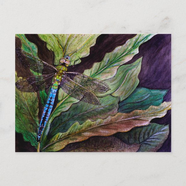 Common Darner Dragonfly Postcard Vykort (Framsida)