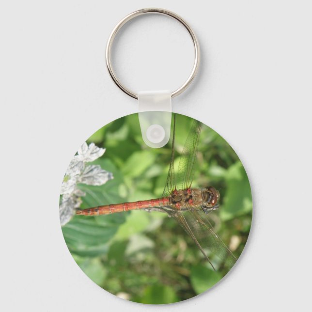 Common Darter Dragonfly Keychain Nyckelring (Framsida)