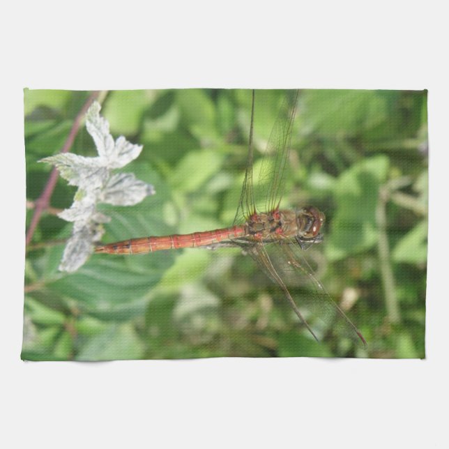 Common Darter Dragonfly Kitchen Towel Kökshandduk (Horisontell)