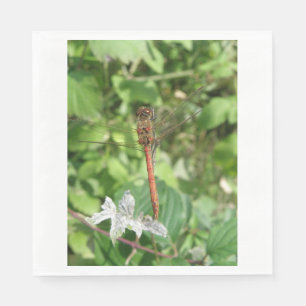 Common Darter Dragonfly Napkins Pappersservett