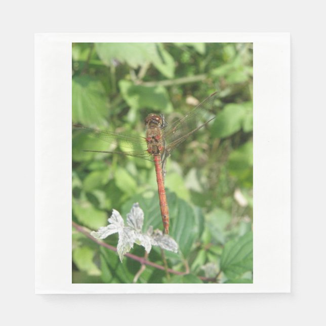 Common Darter Dragonfly Napkins Pappersservett (Framsidan)